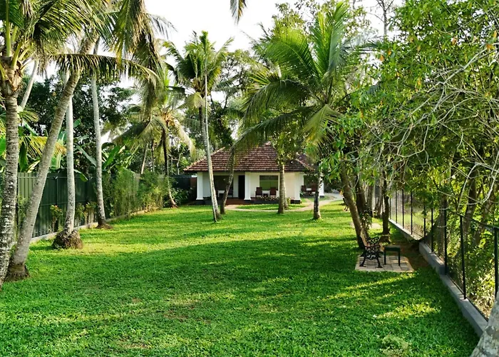 Paadam By The Backwaters